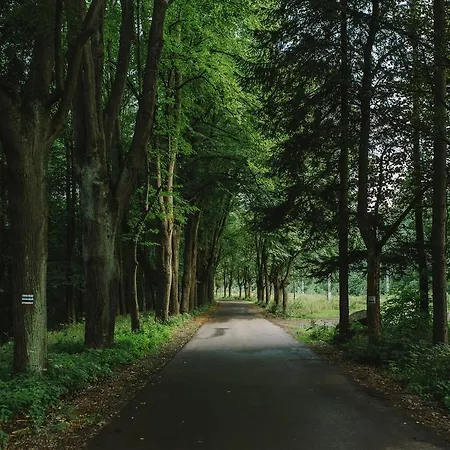 Weranda Z Widokiem Na Karkonosze 3* Schreiberhau