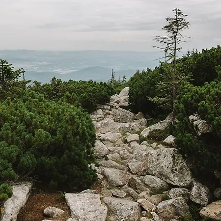 Weranda Z Widokiem Na Karkonosze Frühstückspension Schreiberhau