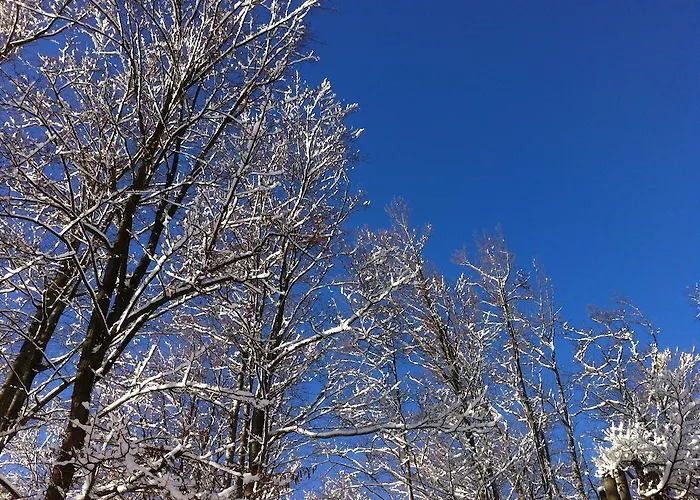 Weranda Z Widokiem Na Karkonosze شكلارسكا بوريبا