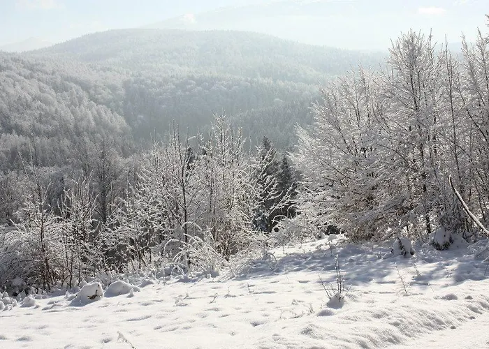 Weranda Z Widokiem Na Karkonosze فندق مبيت وإفطار