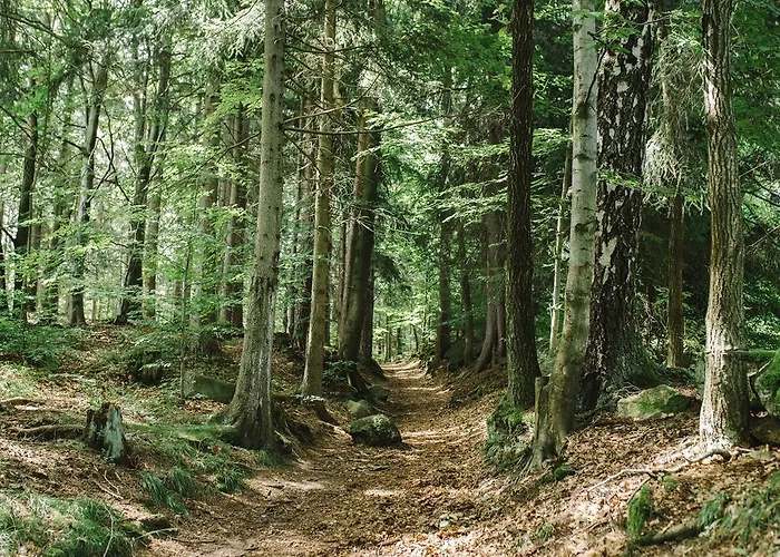 Weranda Z Widokiem Na Karkonosze فندق مبيت وإفطار 3*