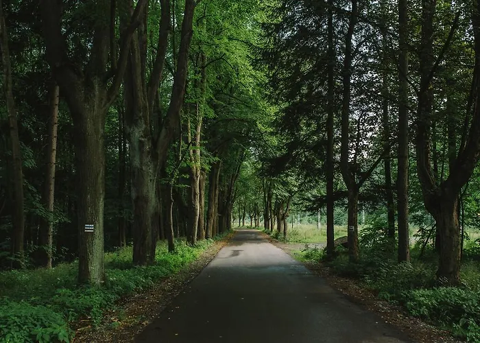 Weranda Z Widokiem Na Karkonosze 3* شكلارسكا بوريبا