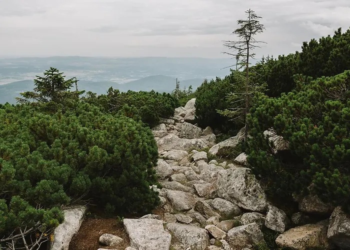 Weranda Z Widokiem Na Karkonosze فندق مبيت وإفطار شكلارسكا بوريبا