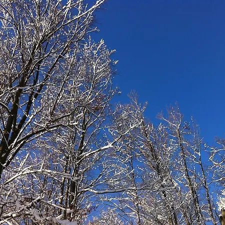 Weranda Z Widokiem Na Karkonosze شكلارسكا بوريبا