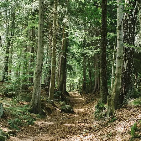 Weranda Z Widokiem Na Karkonosze Nocleg ze śniadaniem 3*