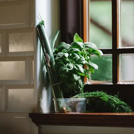 Weranda Z Widokiem Na Karkonosze Bed & Breakfast 3*