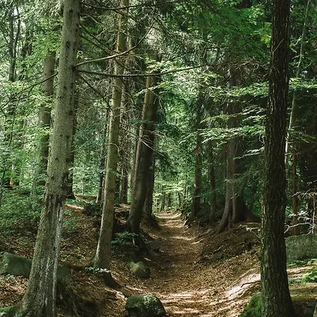 Weranda Z Widokiem Na Karkonosze Szklarska Poręba