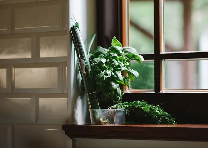 Weranda Z Widokiem Na Karkonosze Bed & Breakfast 3*