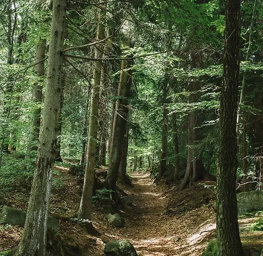 Weranda Z Widokiem Na Karkonosze Szklarska Poręba
